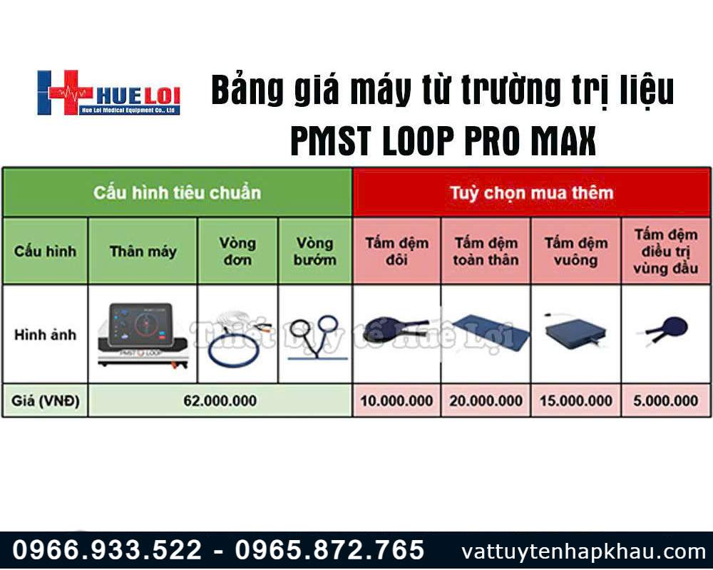 Máy từ trường trị liệu toàn thân PMST LOOP PRO