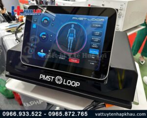 Máy từ trường trị liệu toàn thân PMST LOOP PRO