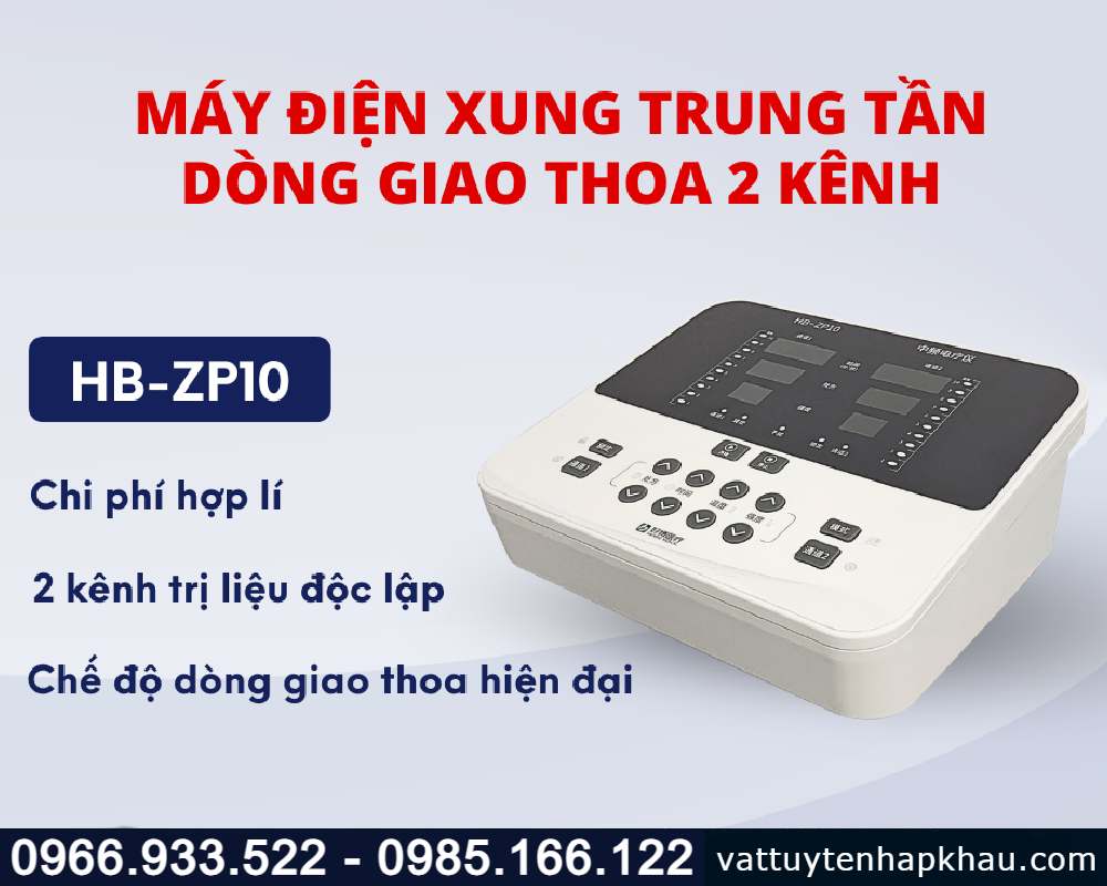 Máy điện xung trung tần giao thoa 2 kênh